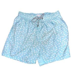 VINTAGE SUMMER Swimsuit Mint Volley Men’s Size L